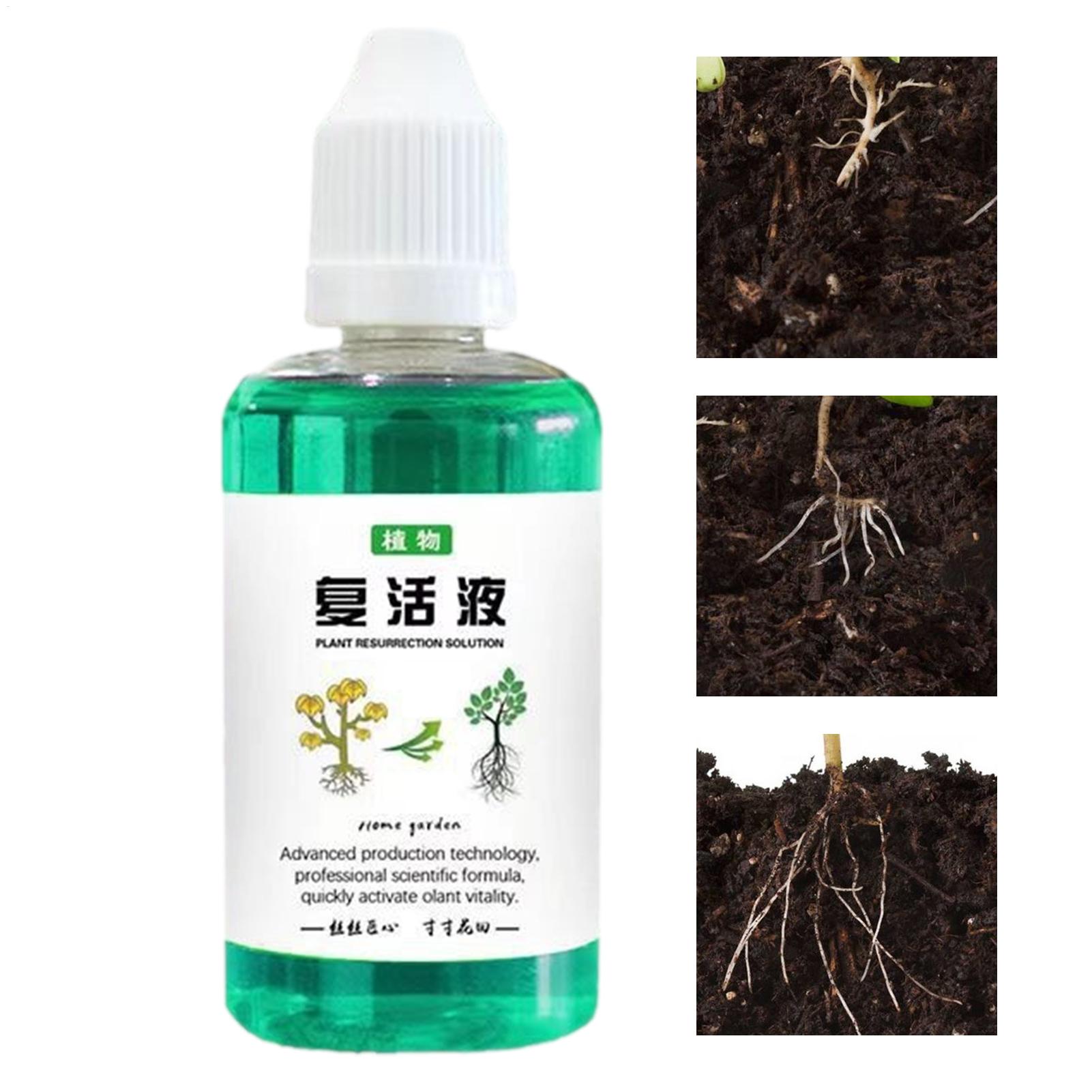 Стимулятор роста корней для ра – обзор и цена Root Stimulator Liquid