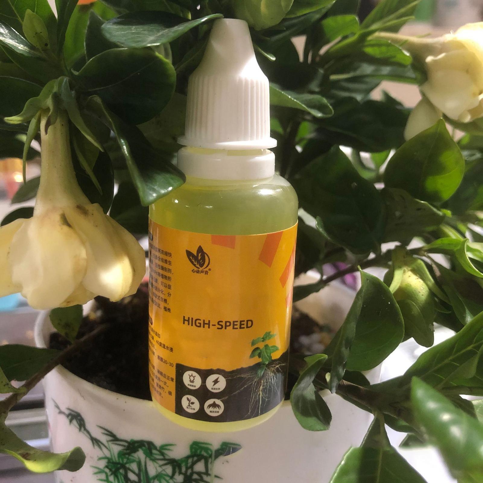 Жидкий стимулятор корнеобразов – обзор и цена Root Stimulator Liquid