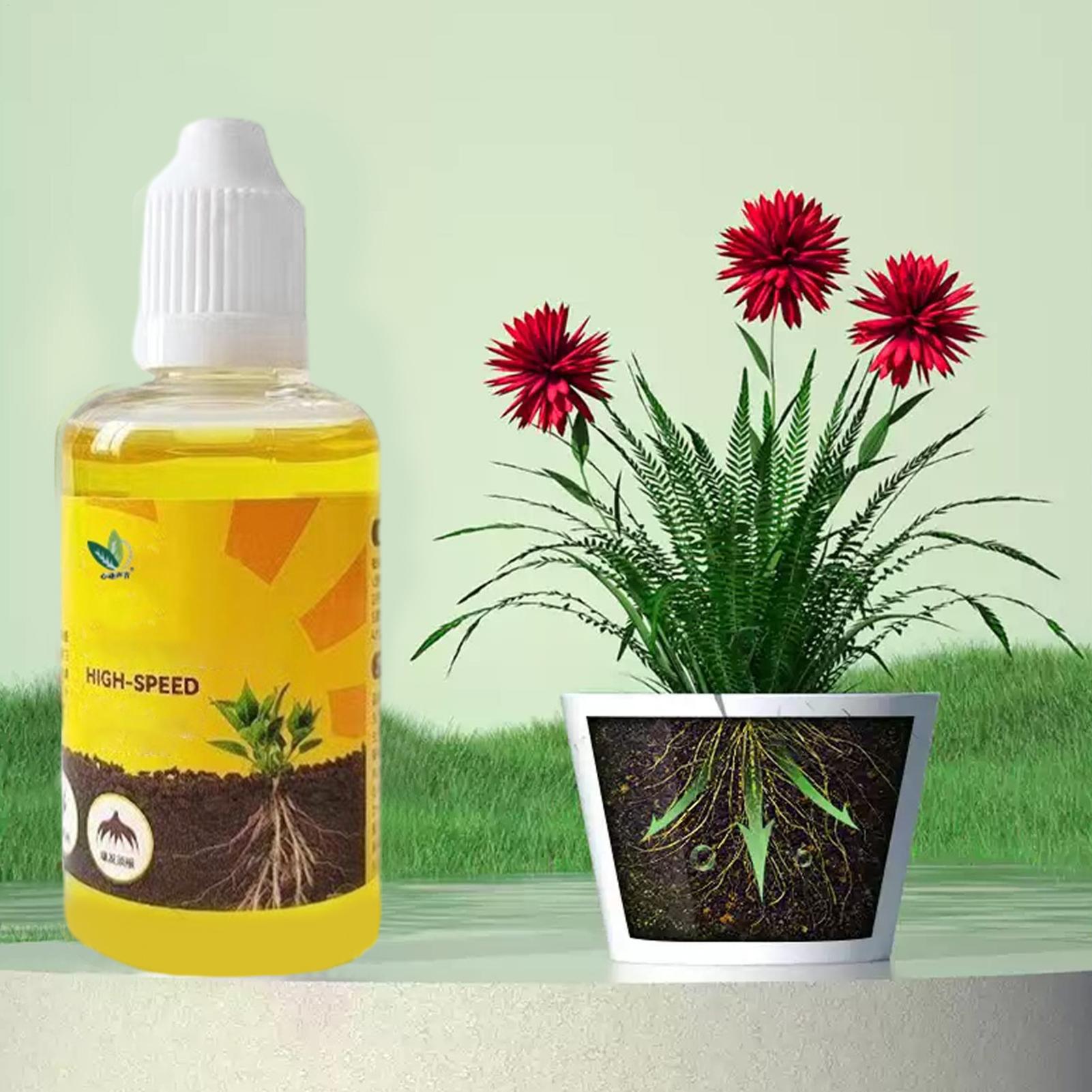 Раствор для быстрого укоренени – обзор и цена Root Stimulator Liquid